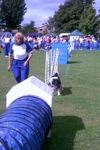 Stubbington Fayre Dog Display AUGUST 2011 040